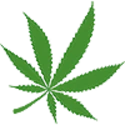 Cannabis 4U - Logo
